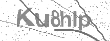 visual captcha